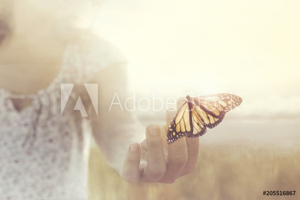 Image de A butterfly leans on a hand of a girl in the middle of nature